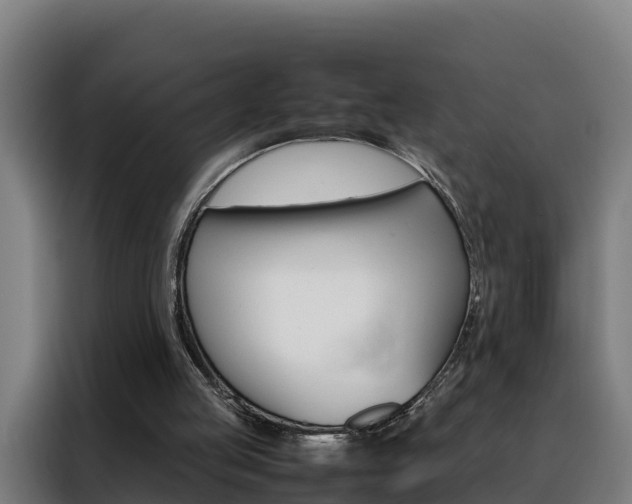X0000088480053200705221009