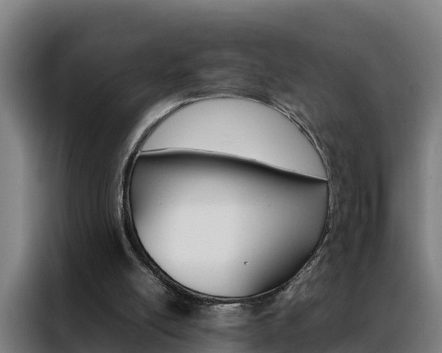 X0000088480054200705221009