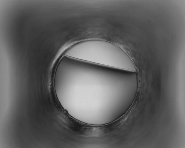 X0000088480056200705221009