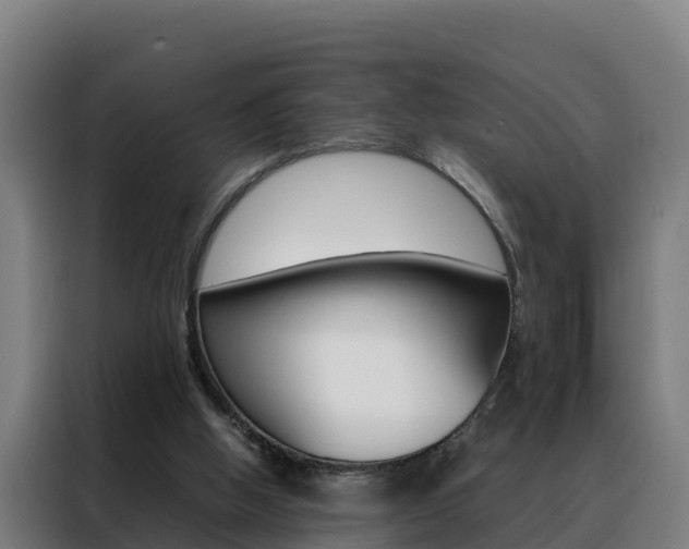 X0000088480058200705221009