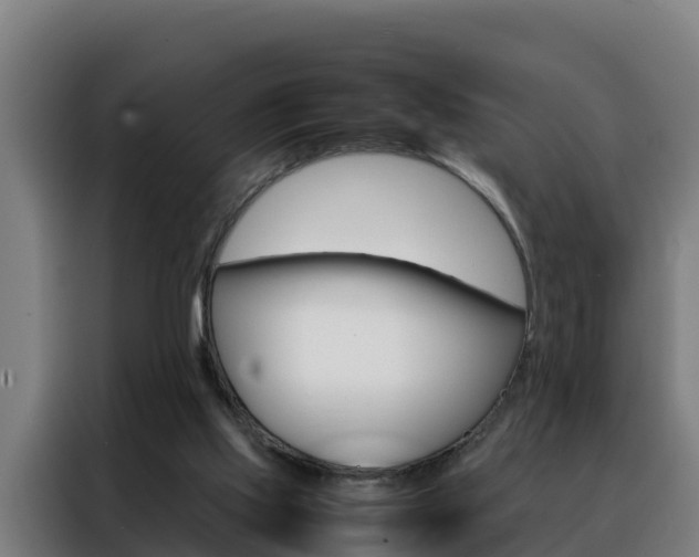 X0000088480061200705221009
