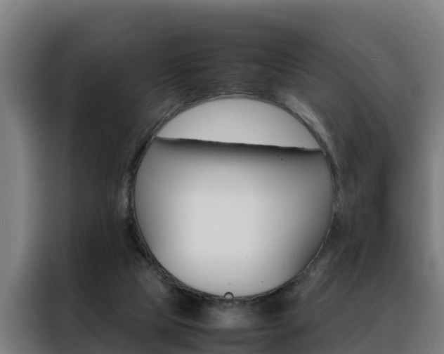 X0000088480065200705221010