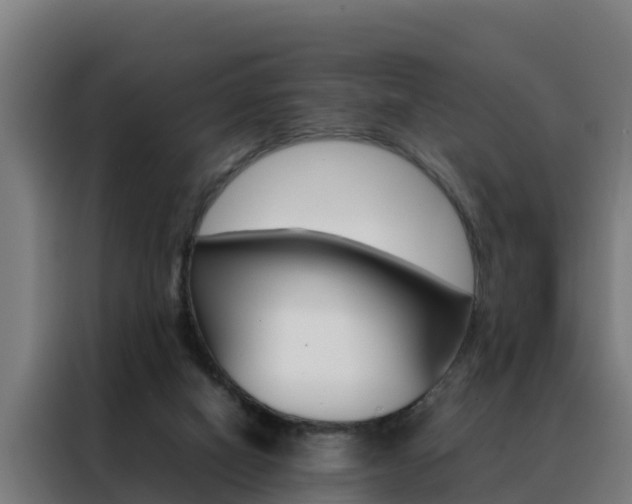 X0000088480066200705221010