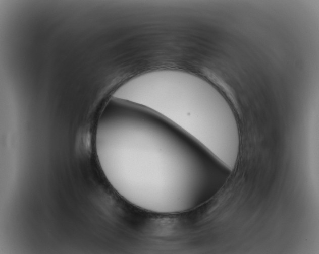 X0000088480067200705221010
