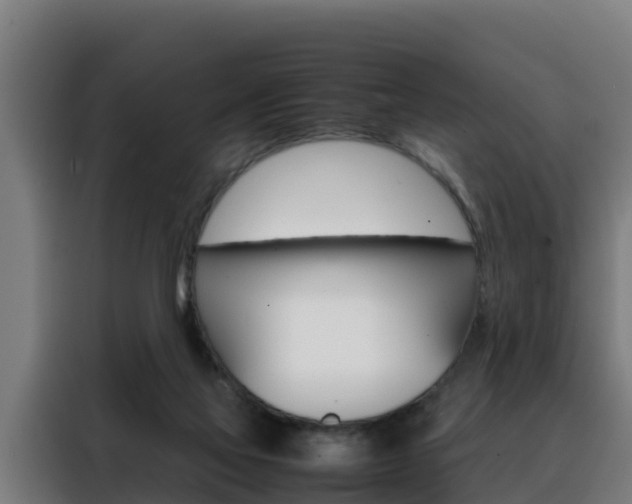 X0000088480069200705221010