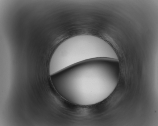 X0000088480071200705221010