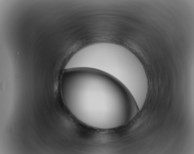 X0000088480072200705221010