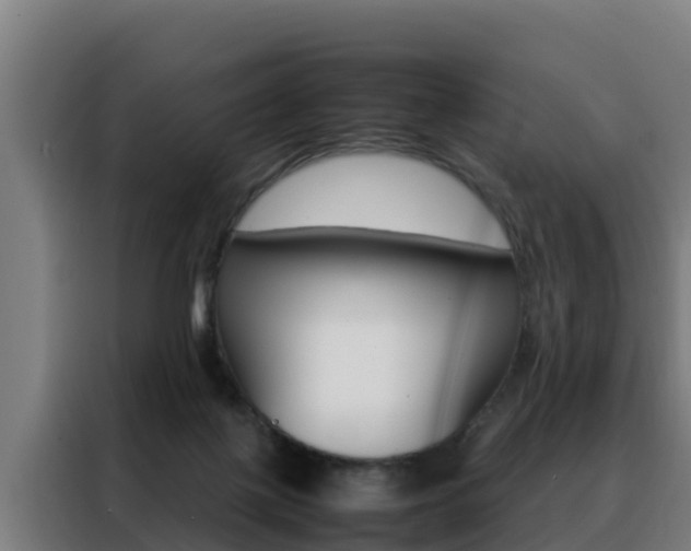 X0000088480075200705221010