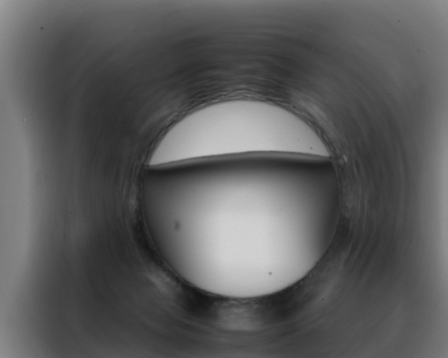 X0000088480077200705221010