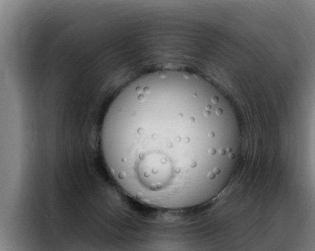 X0000088480078200705221010