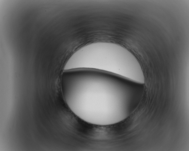 X0000088480079200705221010