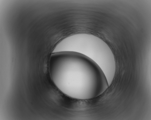 X0000088480080200705221010