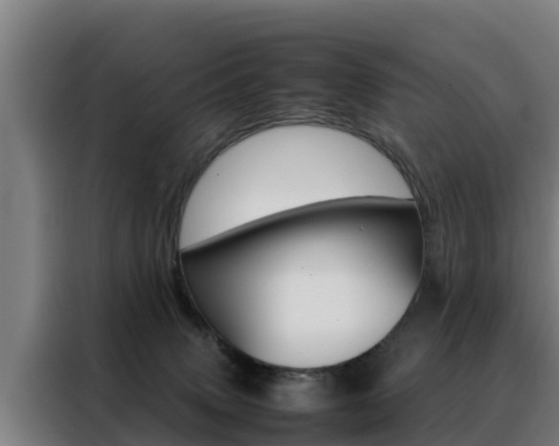 X0000088480083200705221010