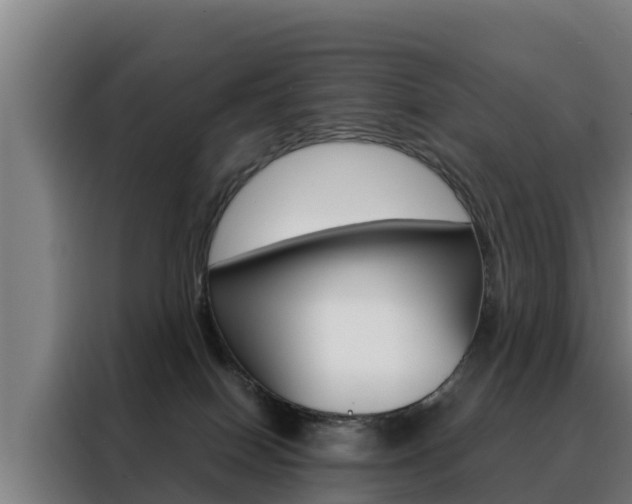 X0000088480086200705221010