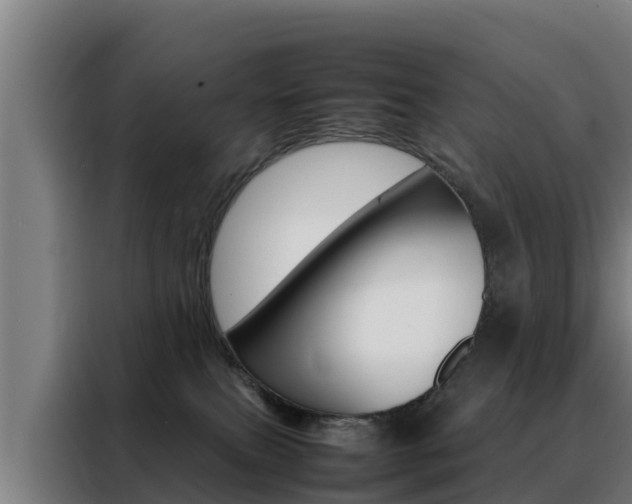 X0000088480087200705221010