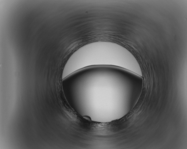 X0000088480092200705221010