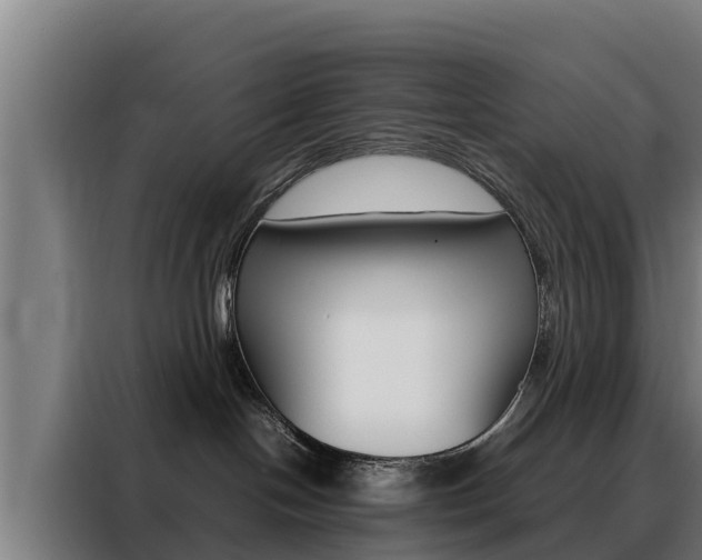 X0000088480094200705221010