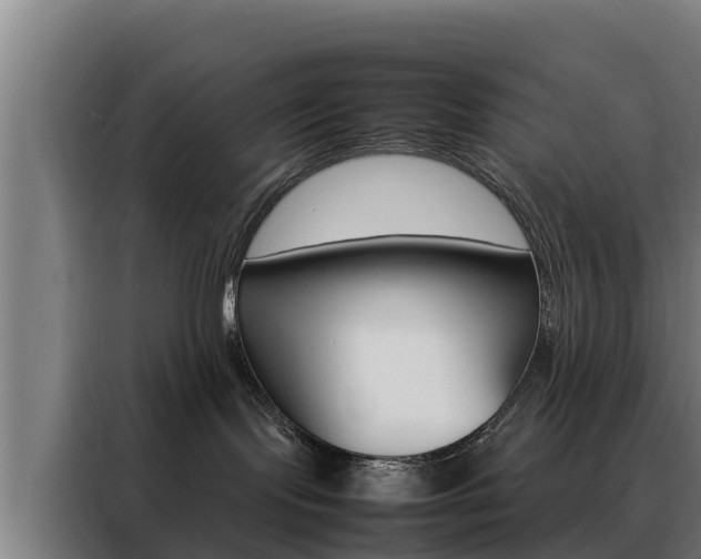 X0000088480095200705221010