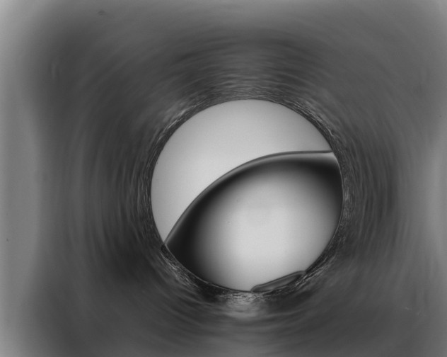 X0000088480096200705221010