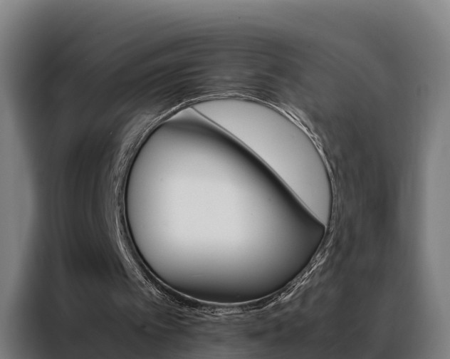 X0000088480097200705221009