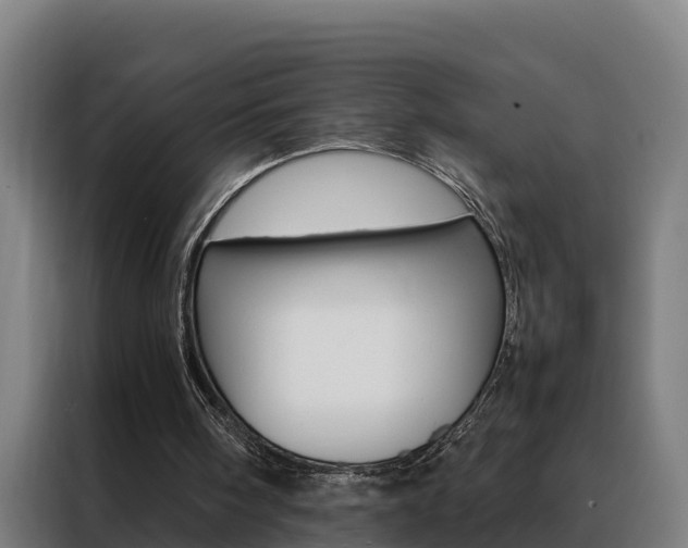 X0000088480098200705221009