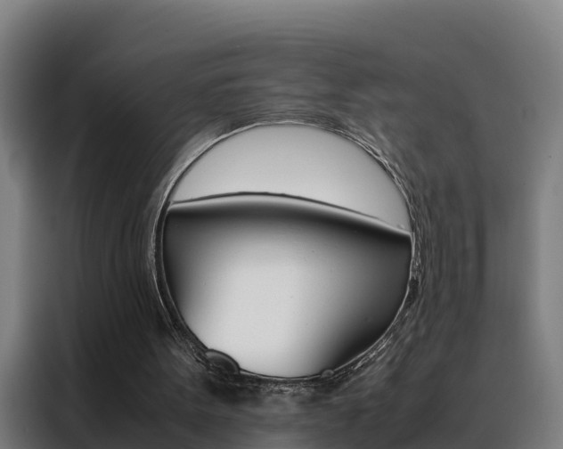X0000088480099200705221009