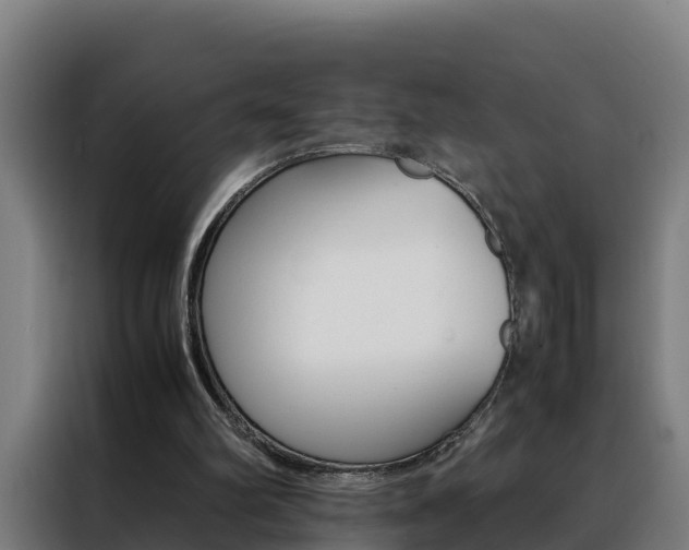 X0000088480102200705221009