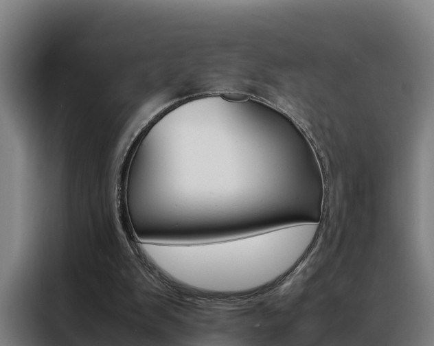 X0000088480103200705221009