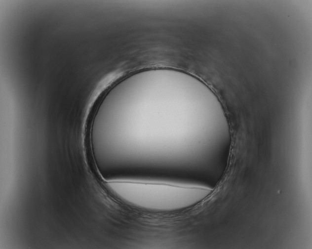 X0000088480104200705221009