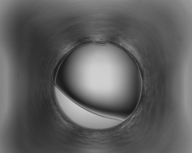 X0000088480105200705221009