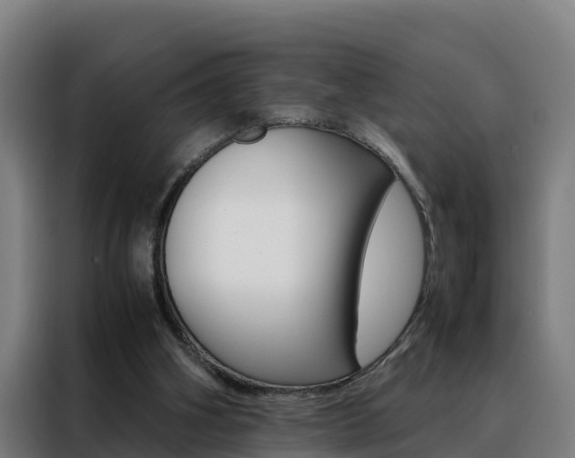 X0000088480106200705221009