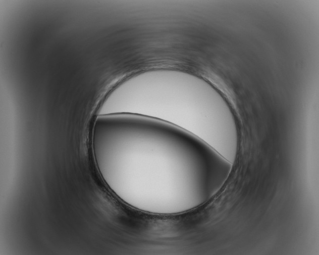 X0000088480107200705221009