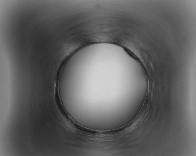 X0000088480109200705221009