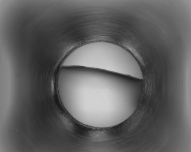 X0000088480110200705221009
