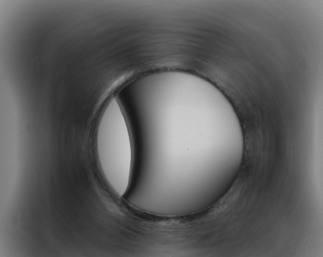 X0000088480112200705221009