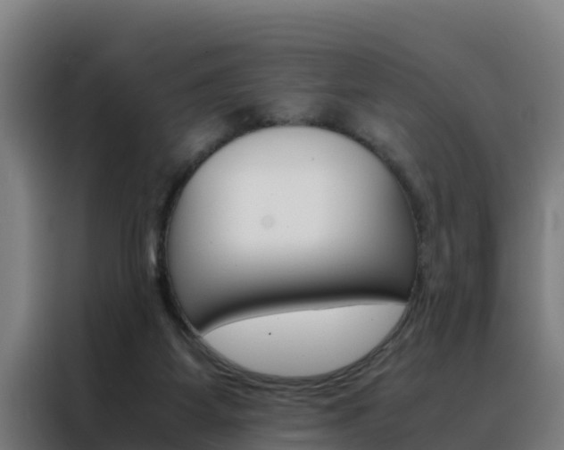 X0000088480115200705221009