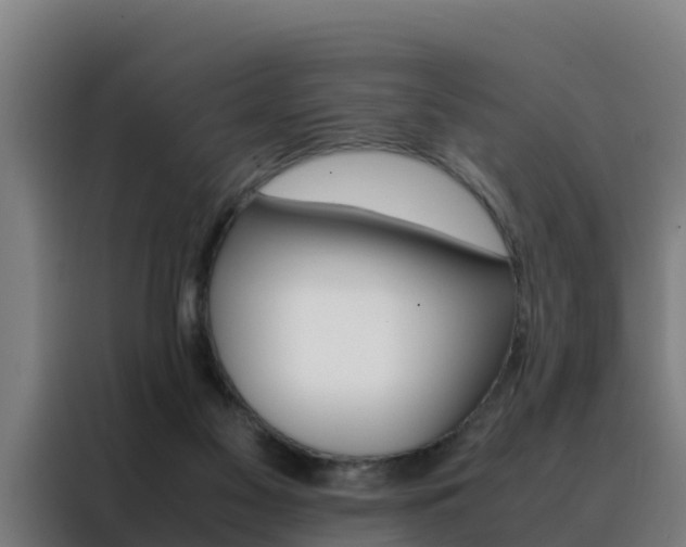 X0000088480117200705221009