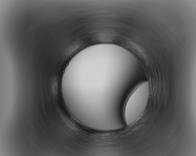 X0000088480120200705221009