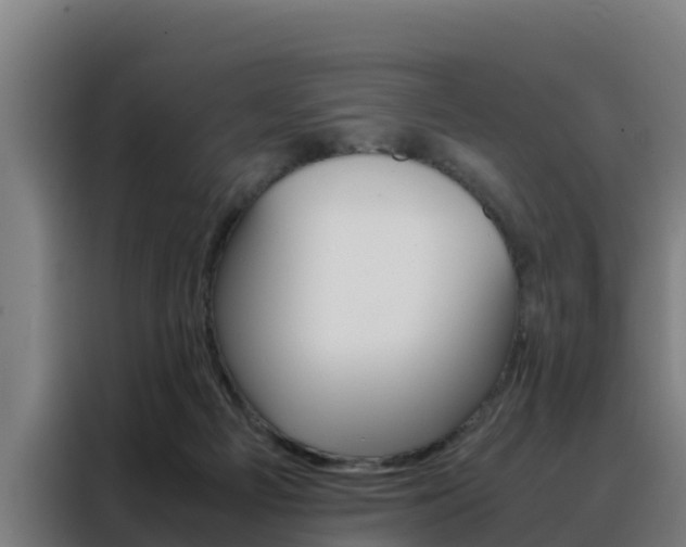 X0000088480121200705221009