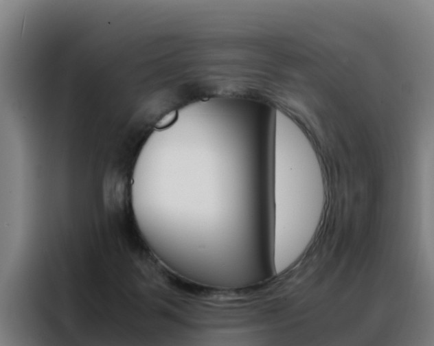 X0000088480123200705221009