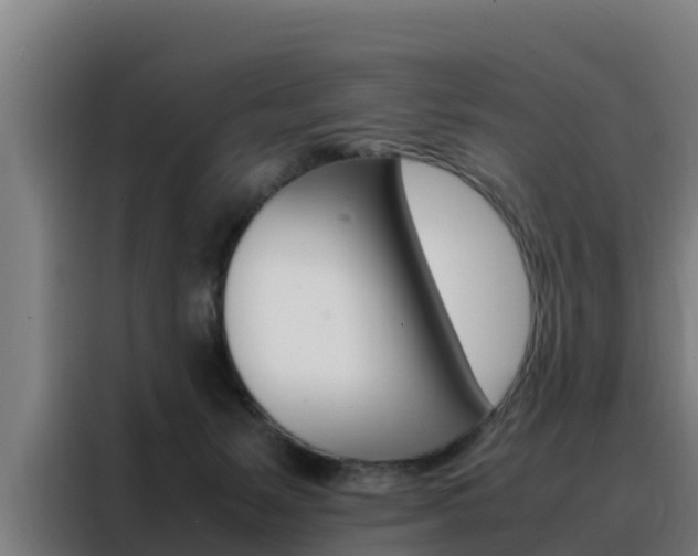 X0000088480127200705221009