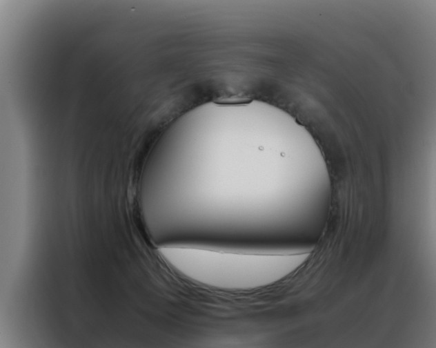 X0000088480129200705221009