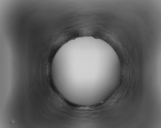 X0000088480133200705221009