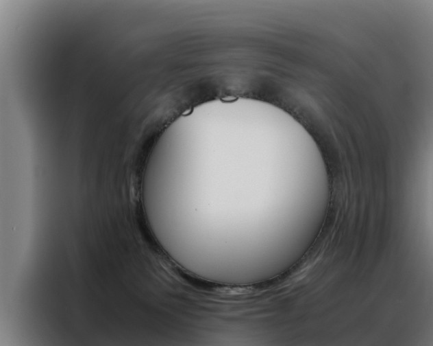 X0000088480135200705221009