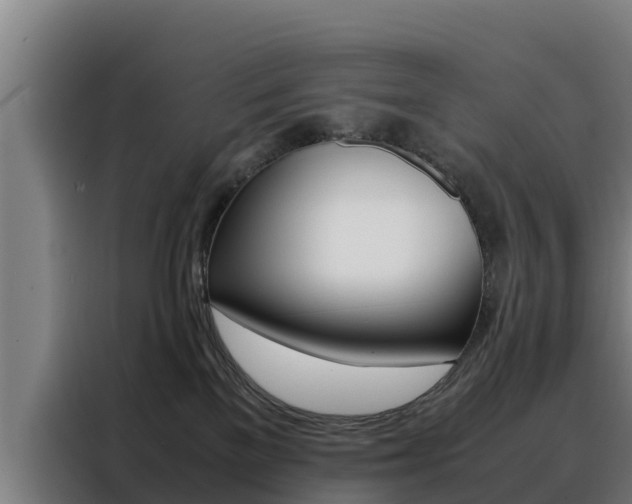 X0000088480137200705221009