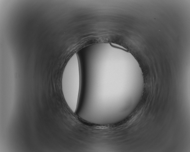X0000088480139200705221009