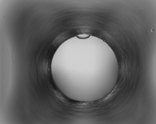 X0000088480140200705221009