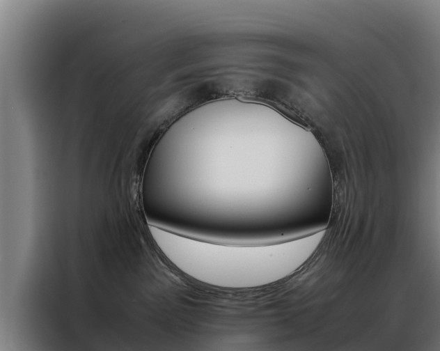 X0000088480141200705221009