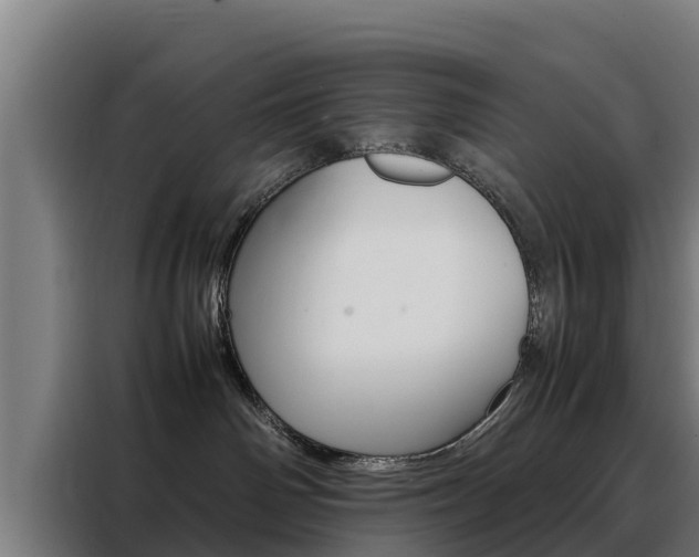X0000088480142200705221009