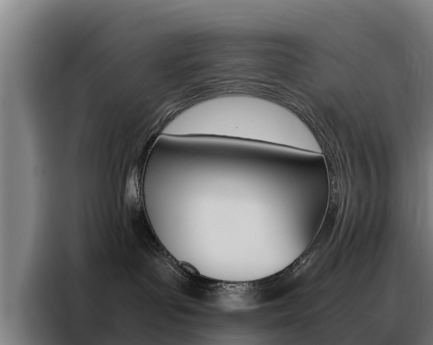 X0000088480143200705221009